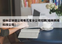 榆林区块链公司有几家分公司招聘[榆林网络科技公司]