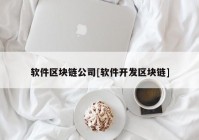 软件区块链公司[软件开发区块链]